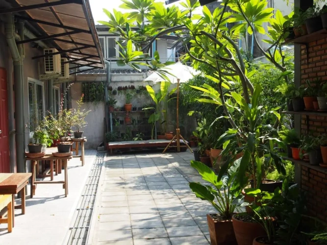 Standard Twin room with garden view