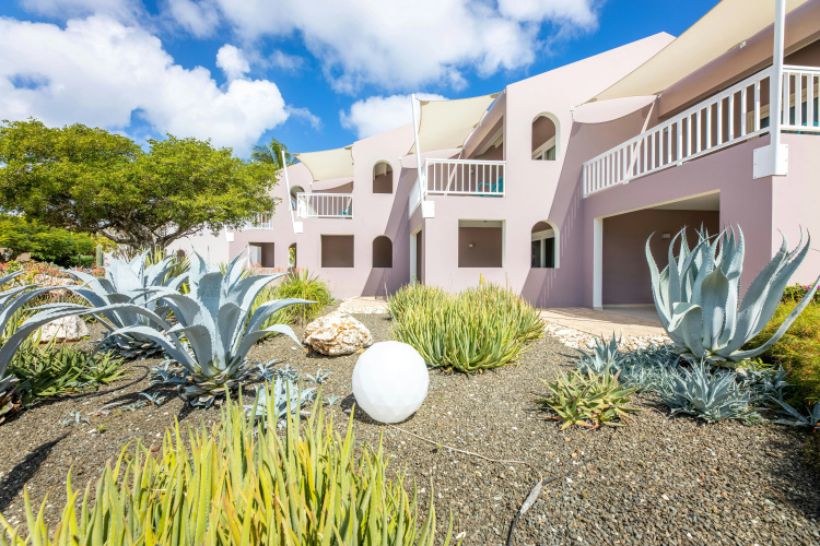 Coral Estate Luxury Resort photo 20