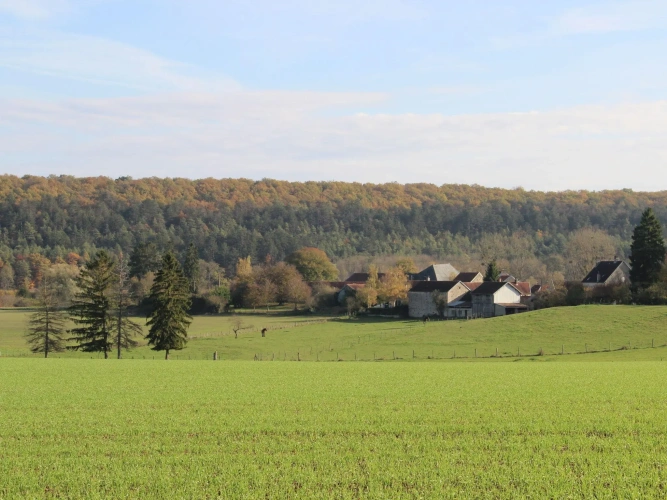 Cottage