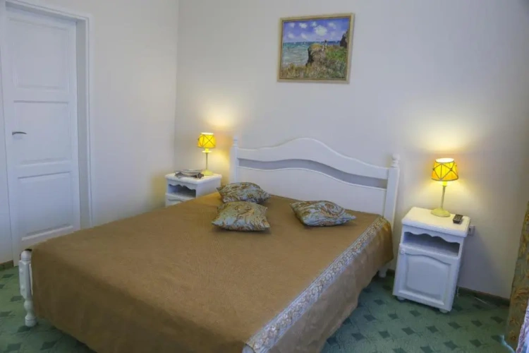 Deluxe Single Suite