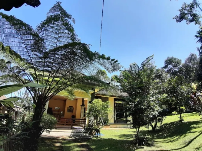Standard Bungalow with balcony and with view