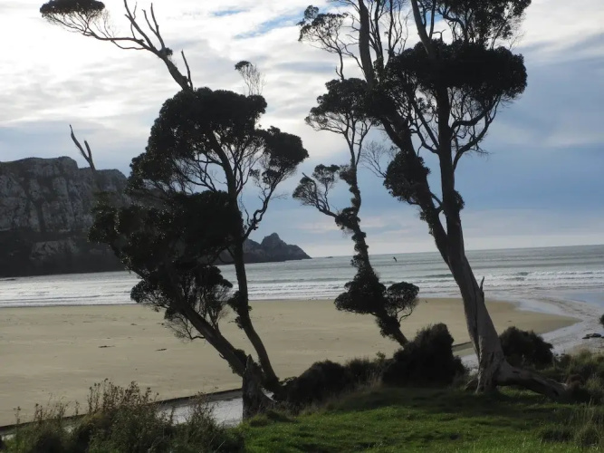 Catlins Lake Sanctuary