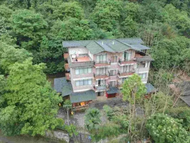 Dream House