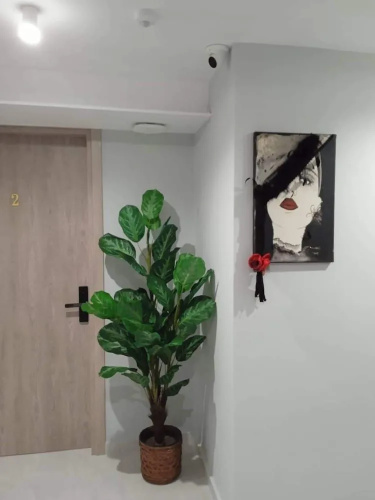 Menta Studios