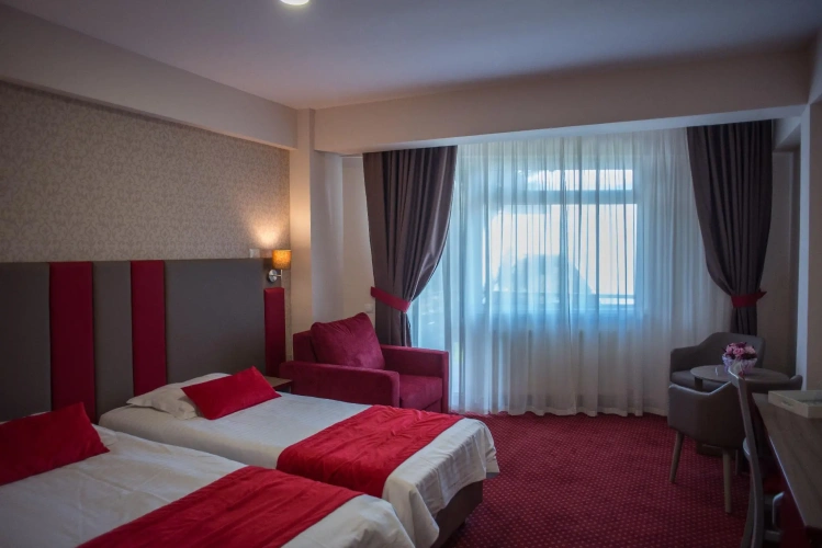 Standard Twin room with mountain view