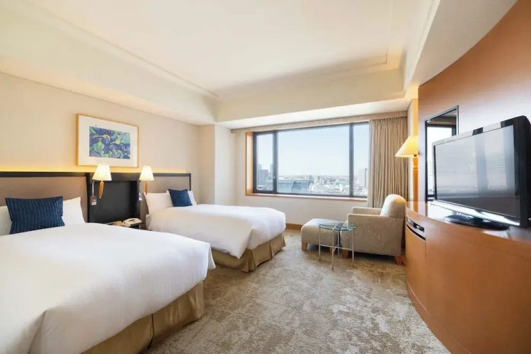 Deluxe Twin room with city view