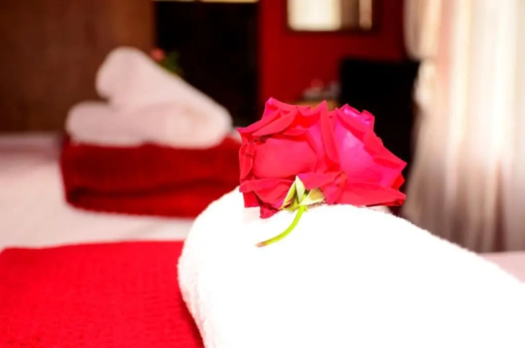 Deluxe Double room with balcony and with garden view