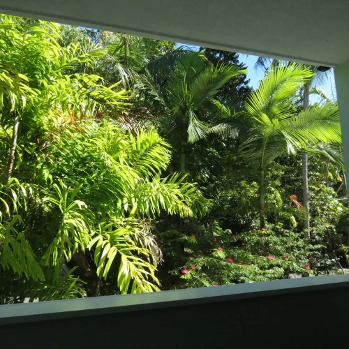 1 Bedroom Apartment with balcony