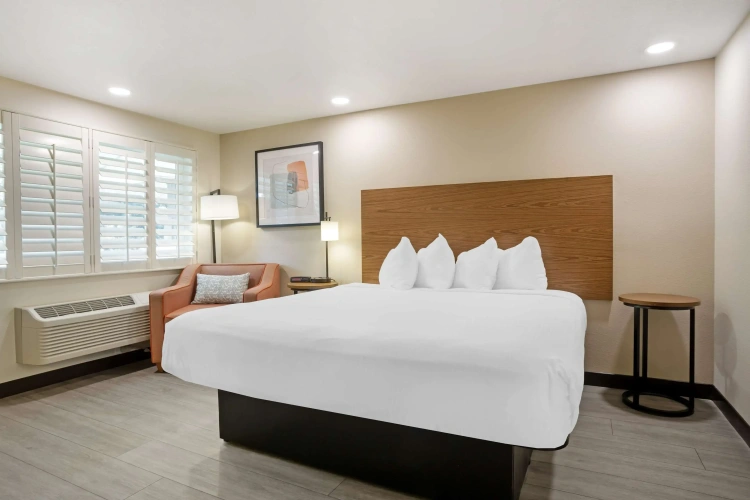 Standard Double room