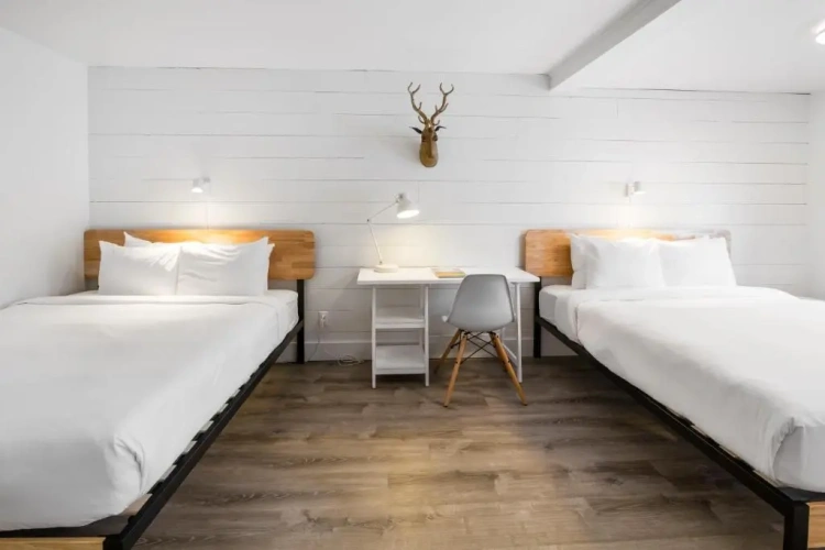 Standard Double room