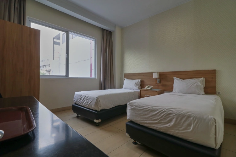 Deluxe Twin room