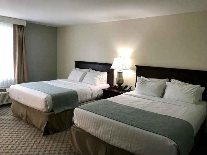Standard Double room