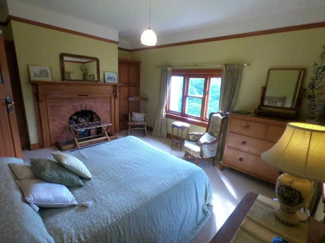 Deluxe Double room with garden view