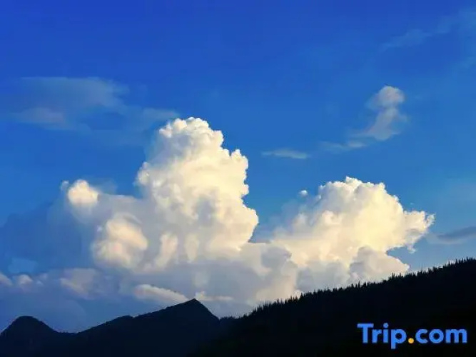 Wanfeng Forest Xihe - Mountain House B&B