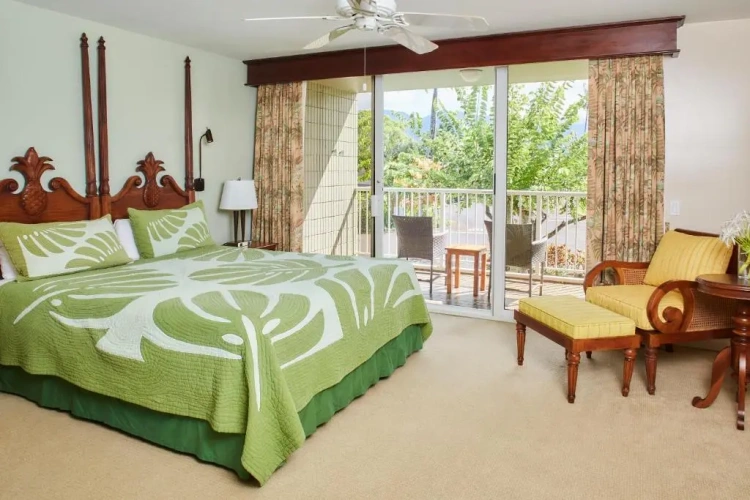 1 Bedroom Suite