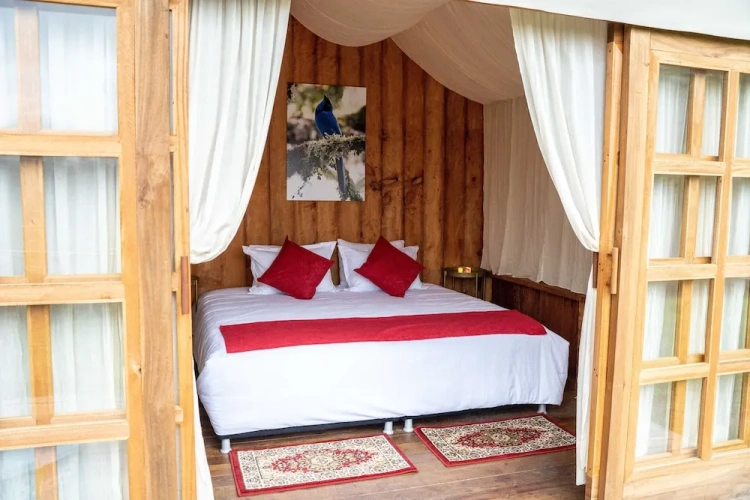 Tent