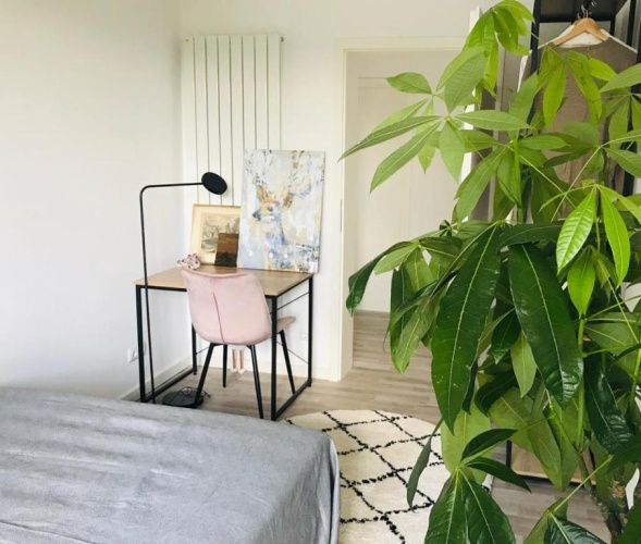 Standard Double room with balcony