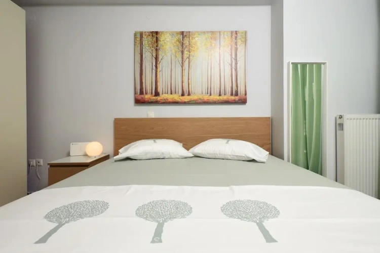 1 Bedroom Apartment with balcony
