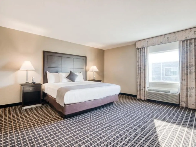 Junior Suite