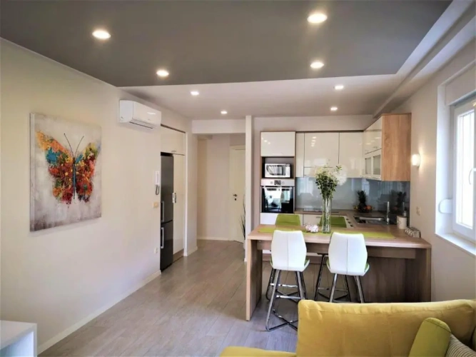 Deluxe Apartment