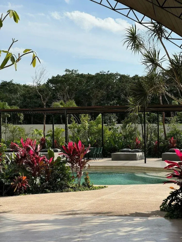 Modern apartment in Tulum trendy zone