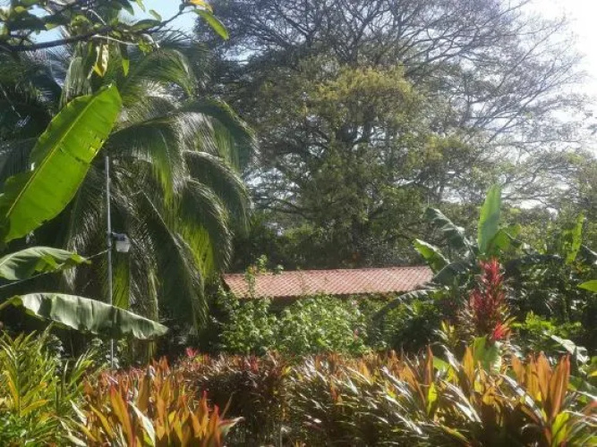 Caribbean house