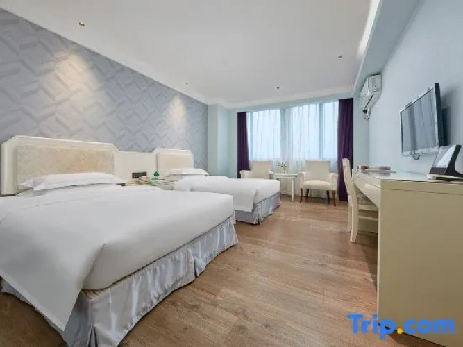 Business Twin room with city view