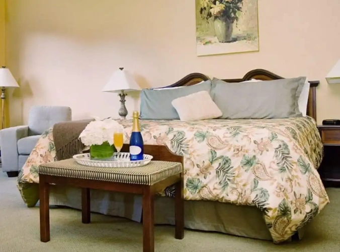 Deluxe Double room with balcony and with river view
