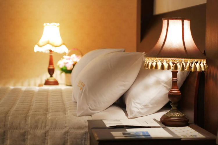 Brown Dot Hotel