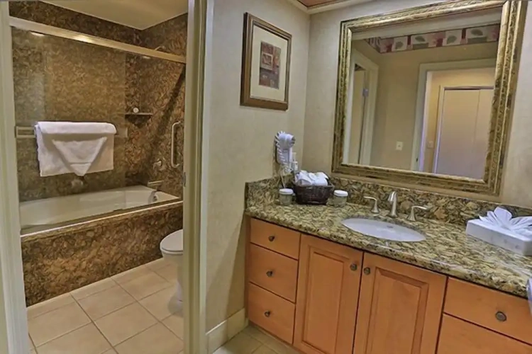 1 Bedroom Suite