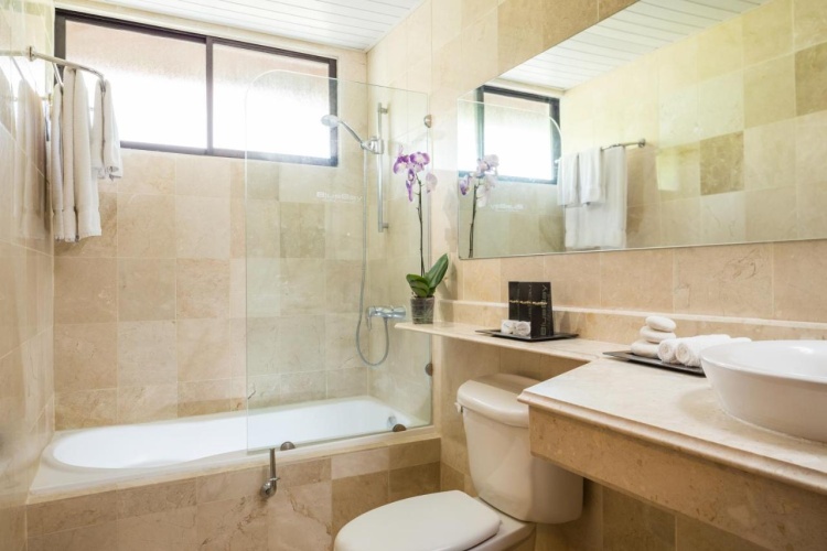 BlueBay Villas Doradas - Adults Only - All Inclusive photo 8