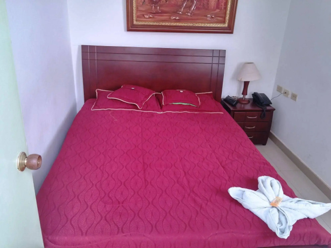 Hotel Andino Real