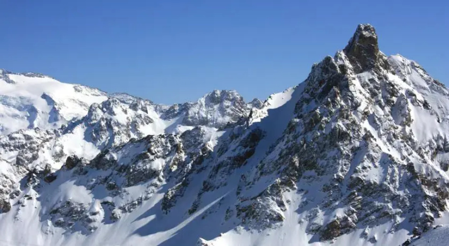 Sapineaux