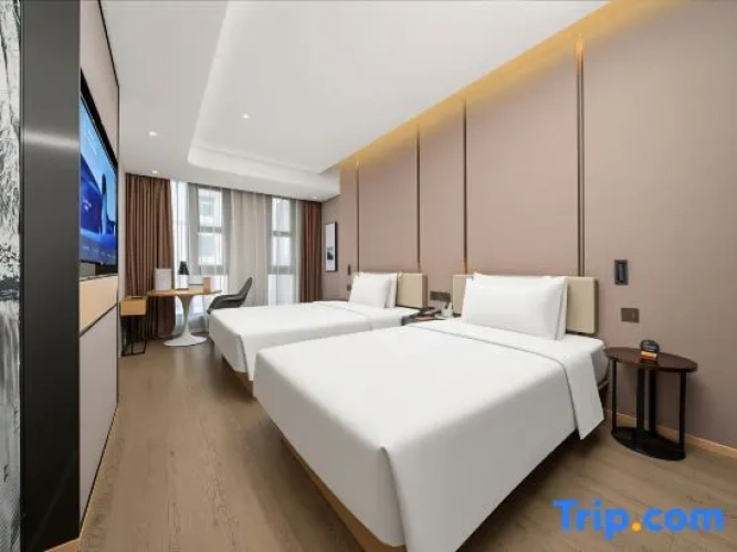 Executive Twin Family room