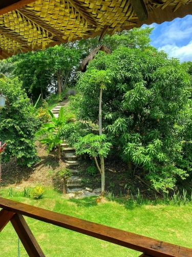 Standard Double room with garden view