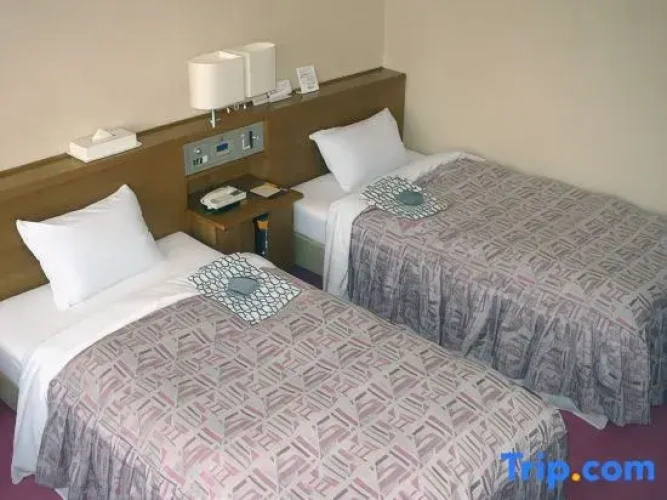 Standard Twin room with mountain view
