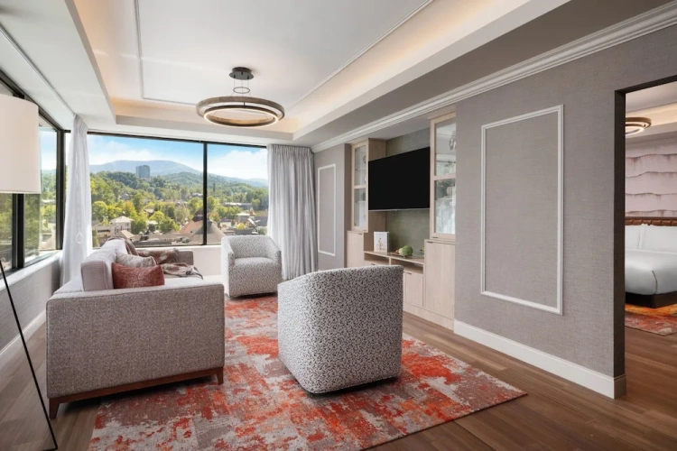 1 Bedroom Suite