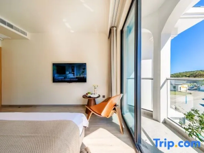 Standard Double room with balcony