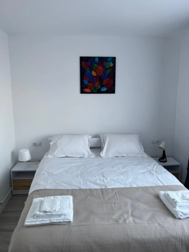 Cozy Apartment