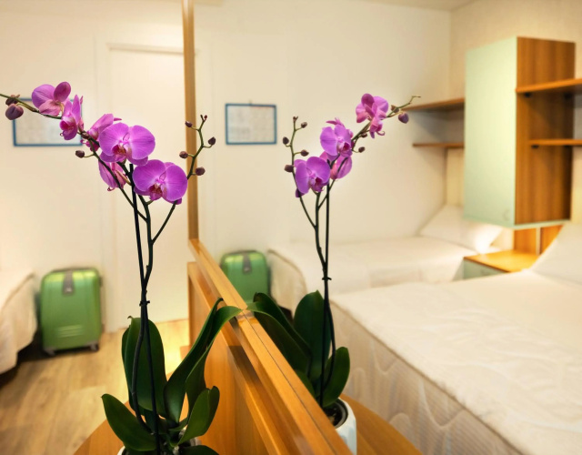 Hotel Castellucci