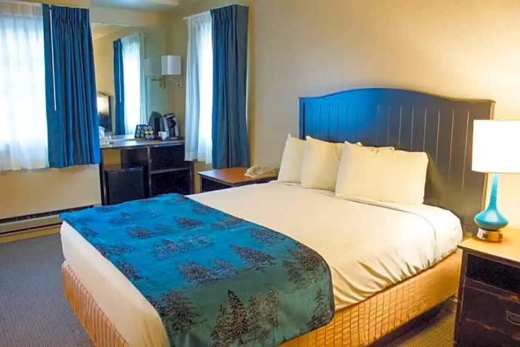Deluxe Lodge Double room
