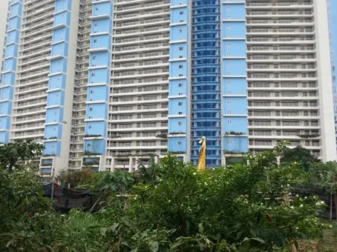 Outside