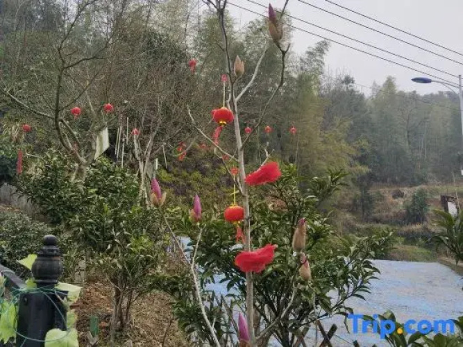 Shangrao Junfeng Mountain Villa