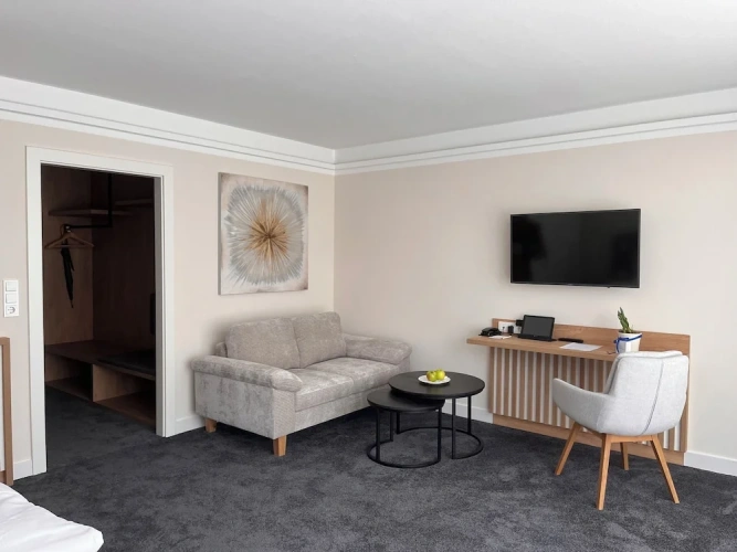 Deluxe Double room with balcony and with park view
