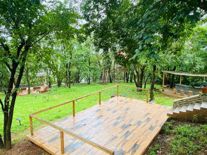 Soul Tree Villa 111 Luxury 4 BHK villa with pool