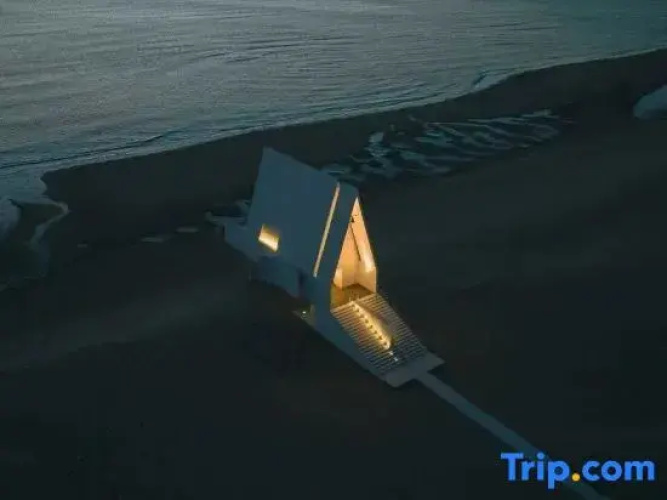 Moana Nest