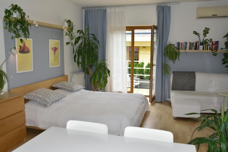 1 Bedroom Apartment