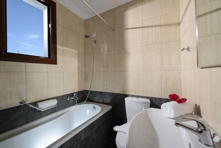 Standard Double room with balcony and with sea view