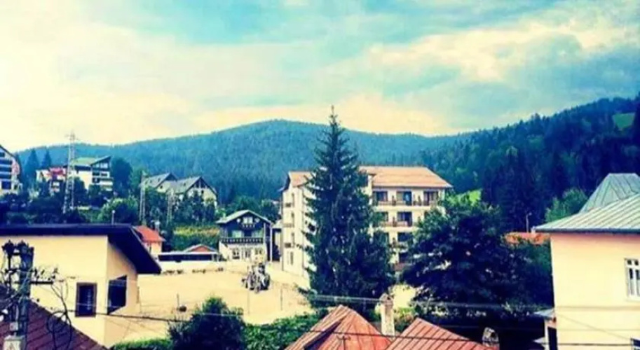 Vila Alin