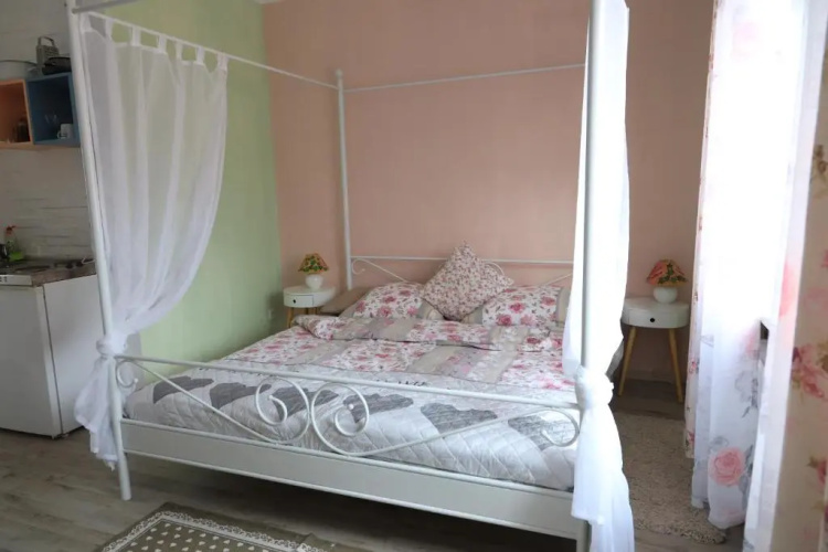 Apartment Viktoria